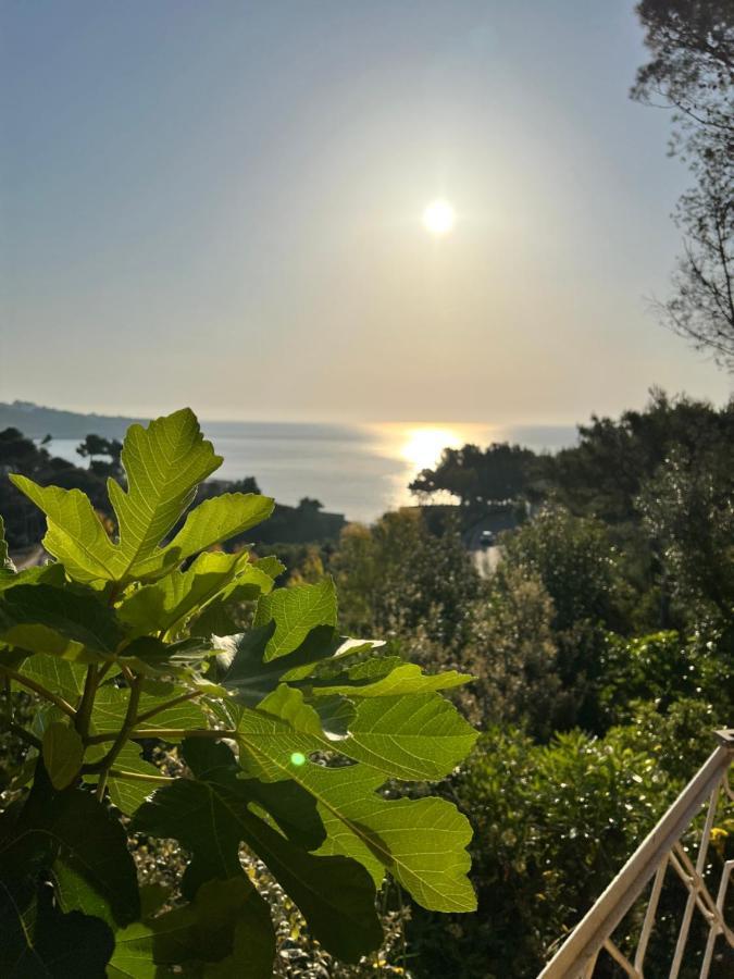 Willa Limonaia In Salento Marittima Zewnętrze zdjęcie